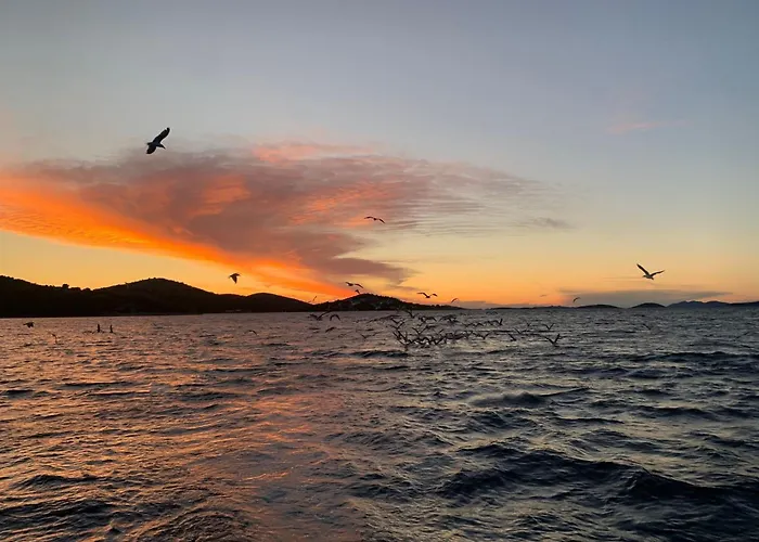 Strandhaus Hela - Bain- Zut - Kornati By Interhome דירה *